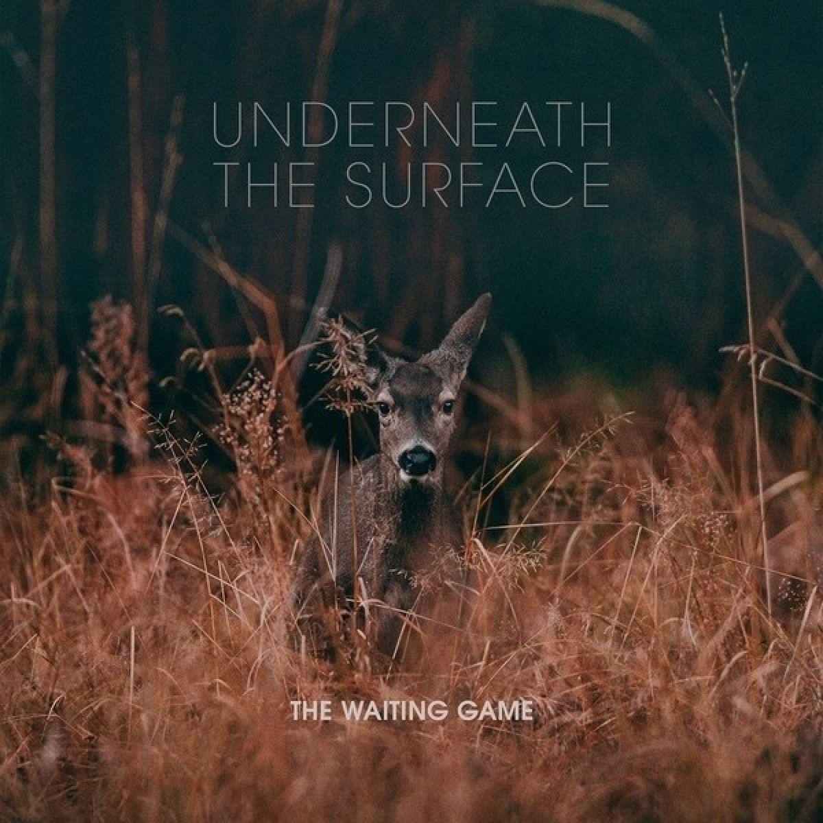 Waiting Game - Underneath The Surface