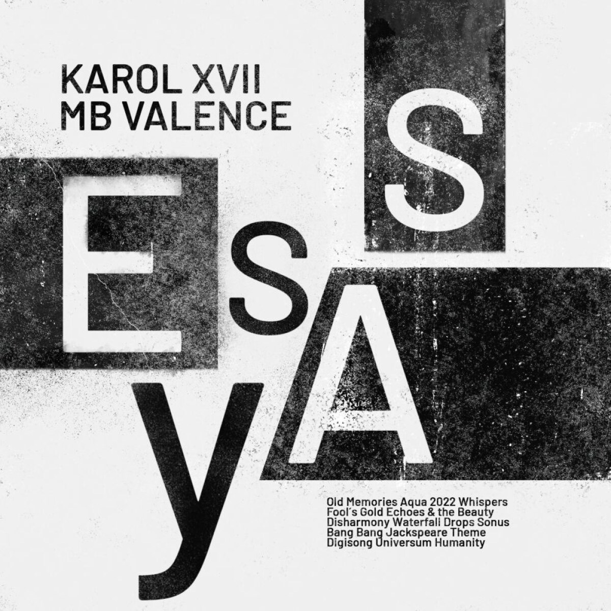 Afbeelding van Karol XVII & MB Valence - Essay
