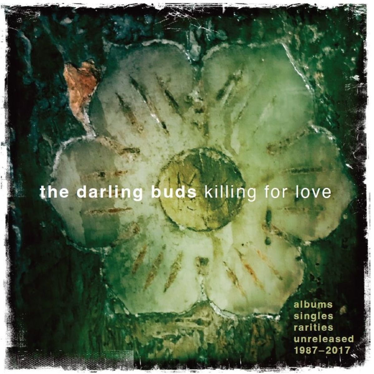 Afbeelding van The Darling Buds - Killing For Love (Albums Singles Rarities Unreleased 1987-2017)