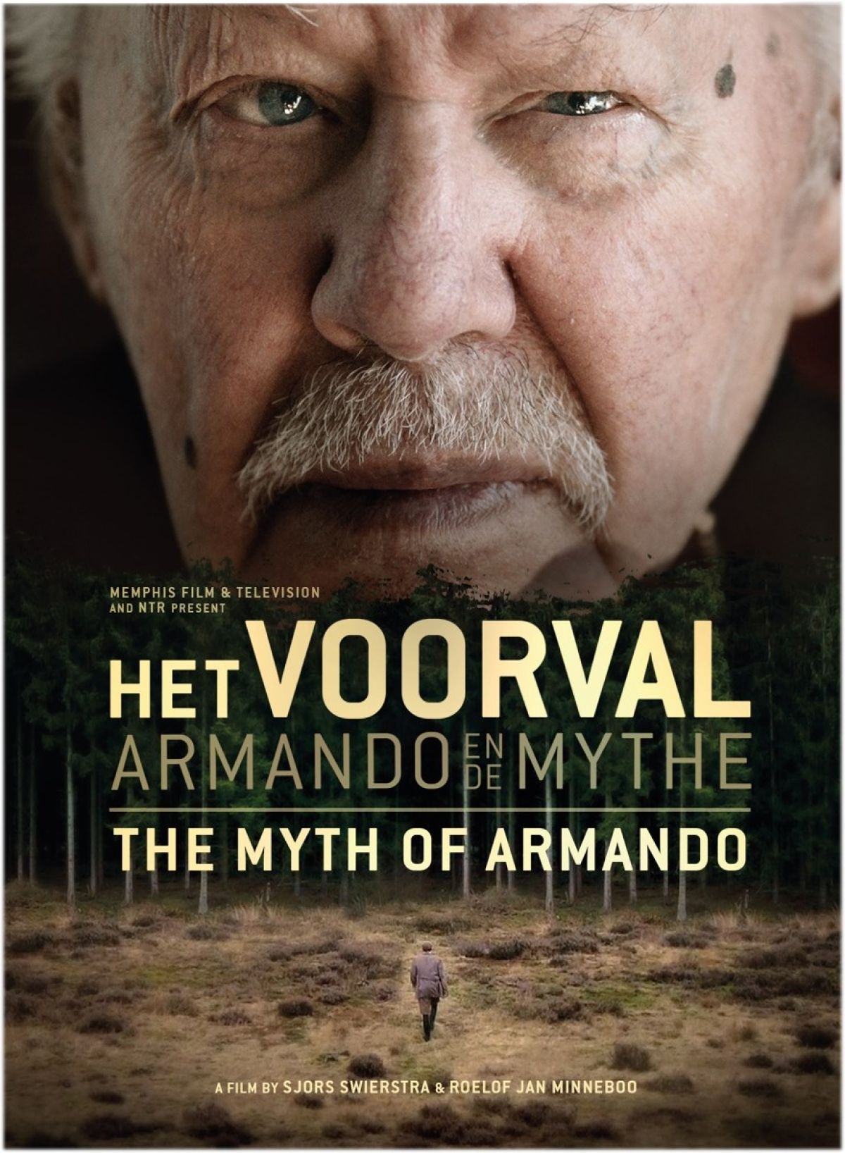 Afbeelding van Het Voorval - Armando En De Mythe
