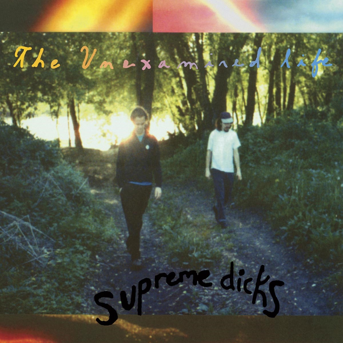 Afbeelding van Supreme Dicks - The Unexamined Life