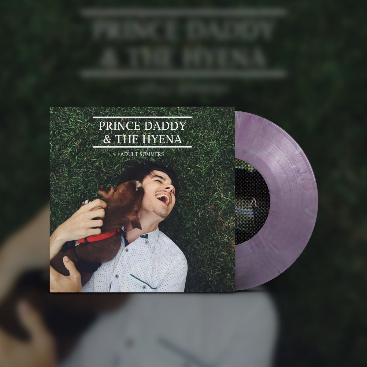 Afbeelding van Prince Daddy & The Hyena - Adult Summers
