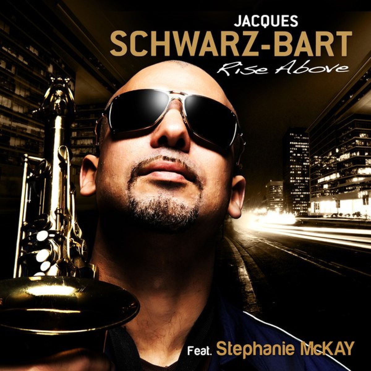 Afbeelding van Jacques Schwarz-Bart Feat. Stephanie McKay - Rise above
