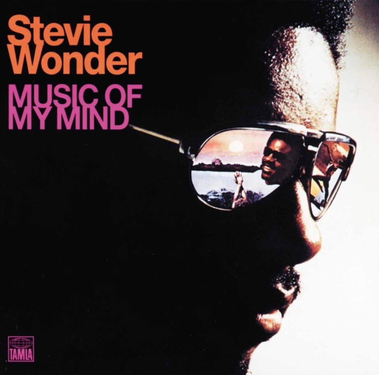 Stevie Wonder - Music Of My Mind