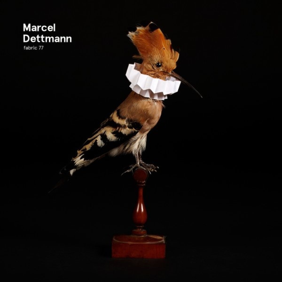 Afbeelding van Marcel Dettmann - Fabric 77 Marcel Dettmann