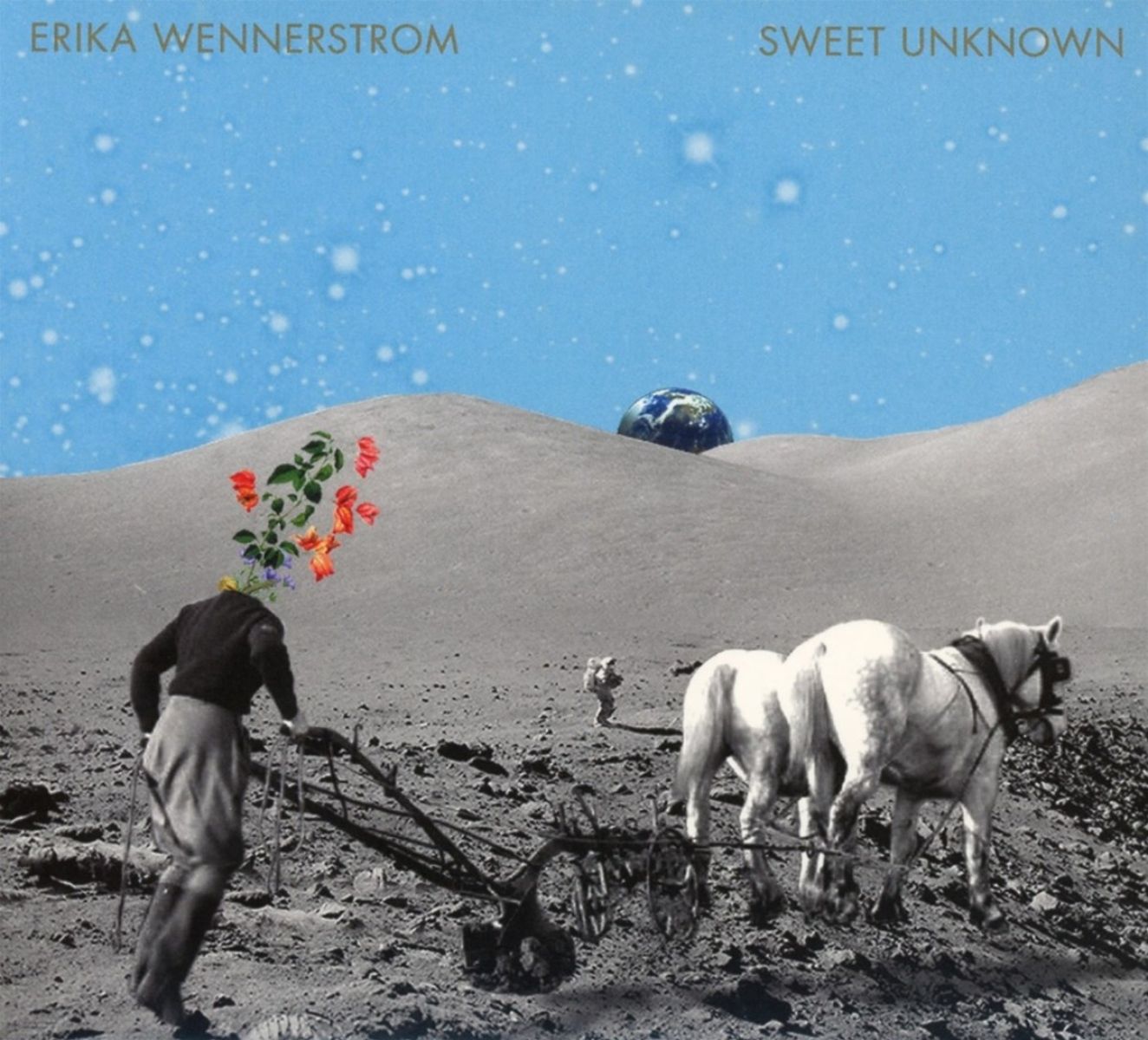 Afbeelding van Erika Wennerstrom - Sweet Unknown