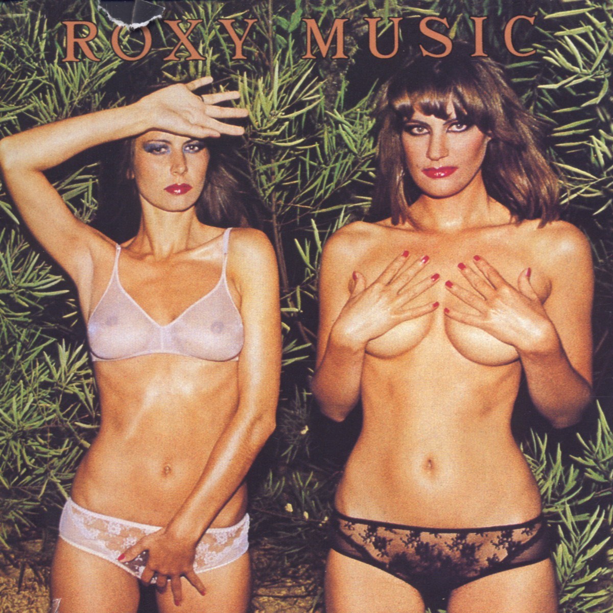 Afbeelding van Roxy Music - Country Life