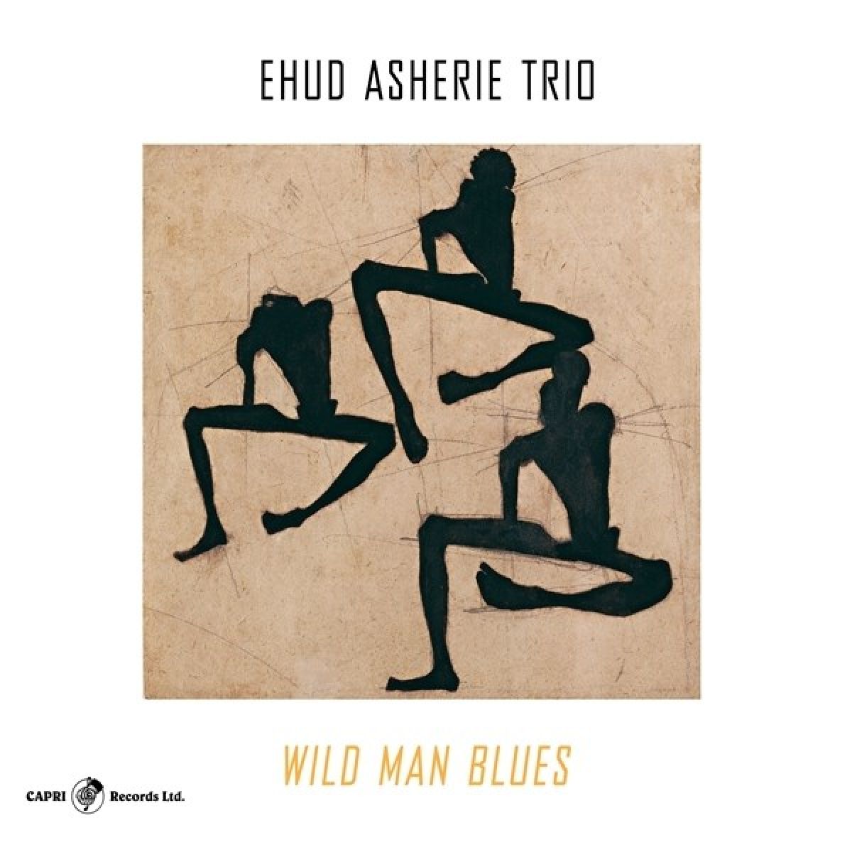 Afbeelding van Ehud Asherie Trio - Wild Man Blues