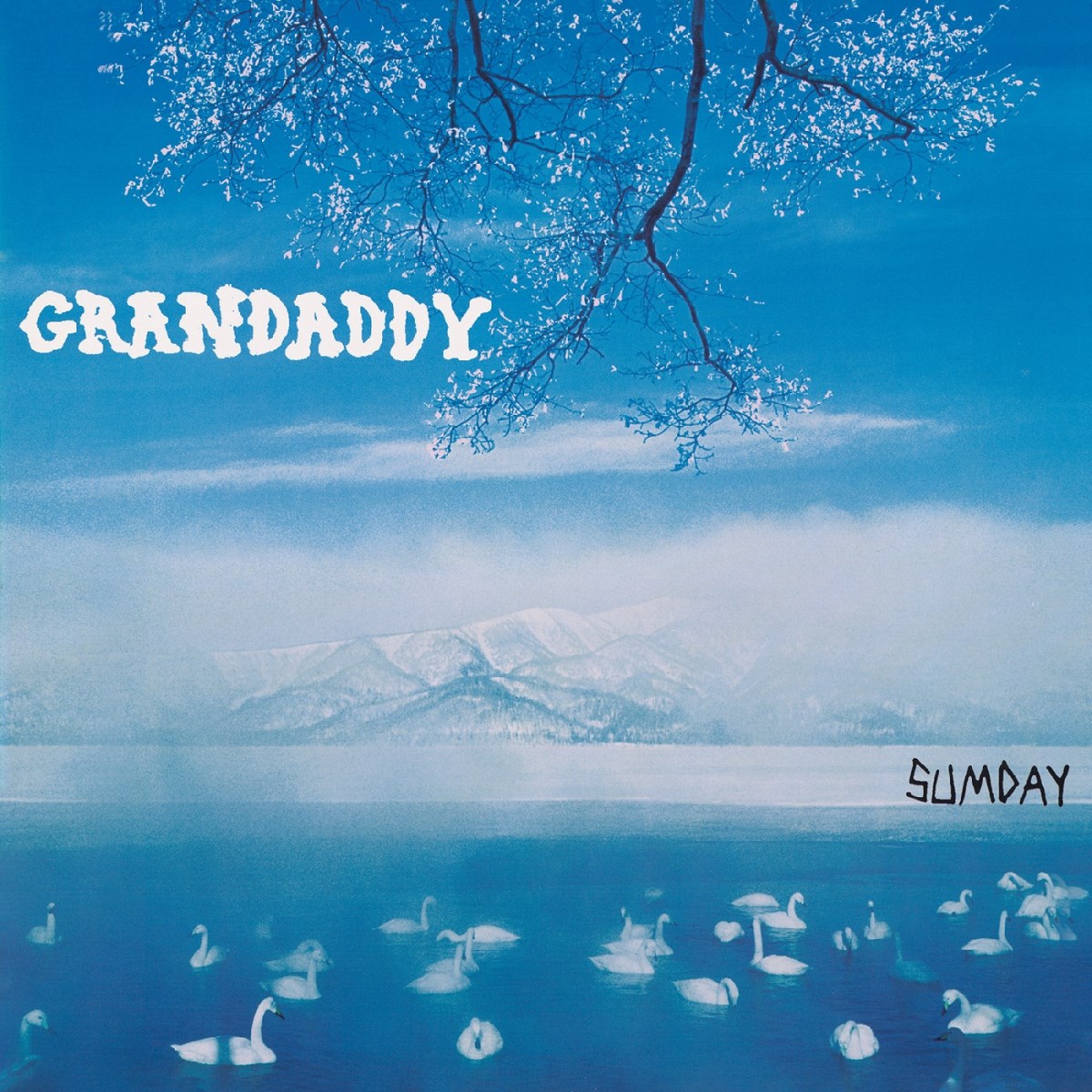 Afbeelding van Grandaddy - Sumday