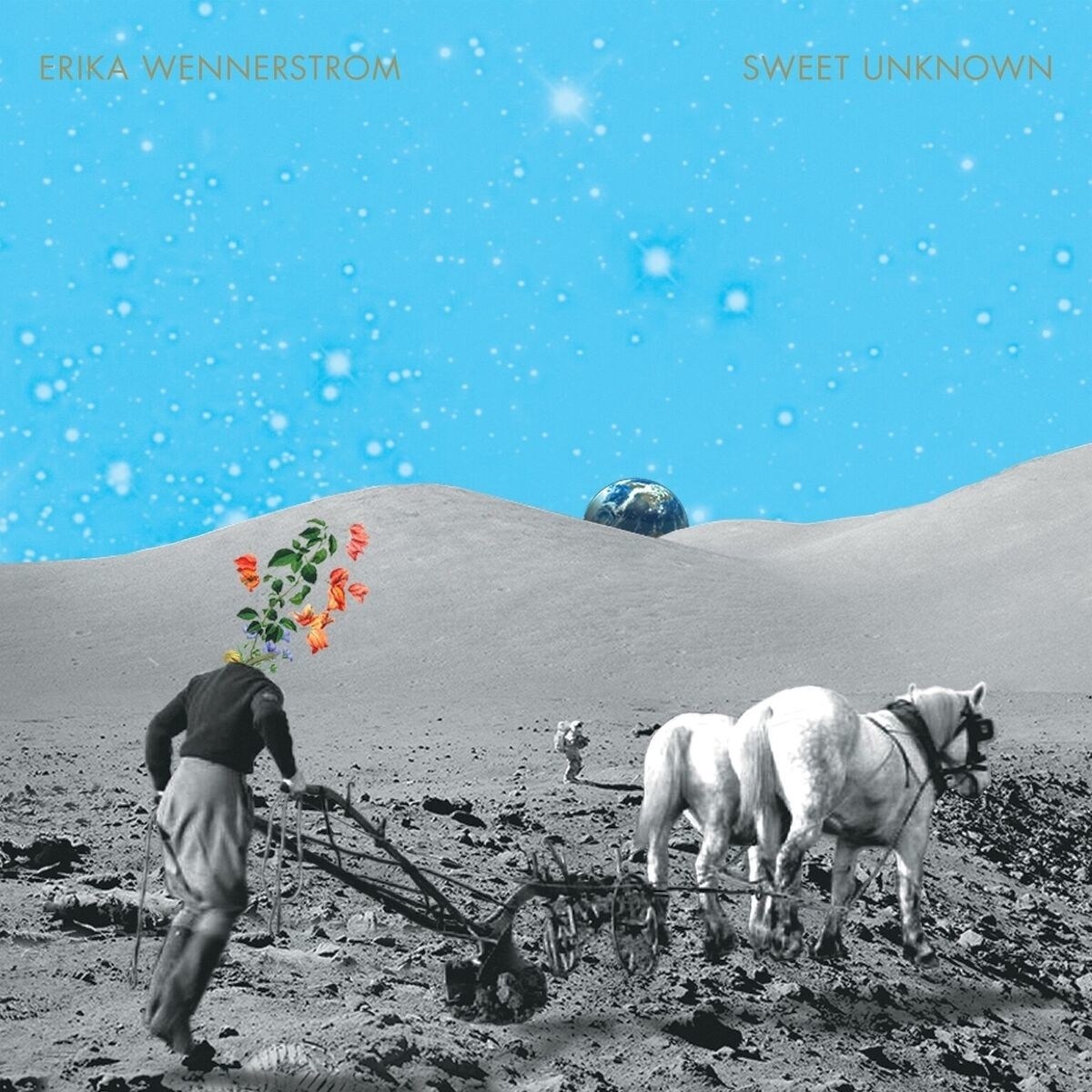 Afbeelding van Sweet Unknown