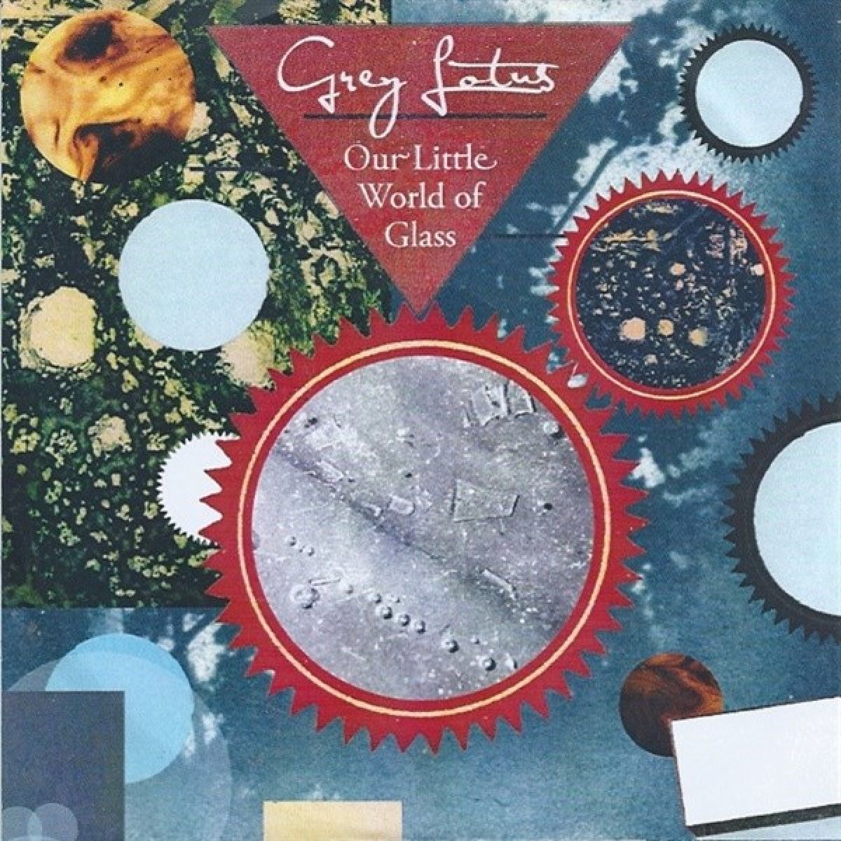 Afbeelding van Grey Lotus - Our Little World Of Glass