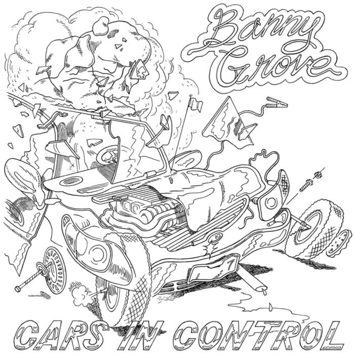Banny Grove - Cars In Control