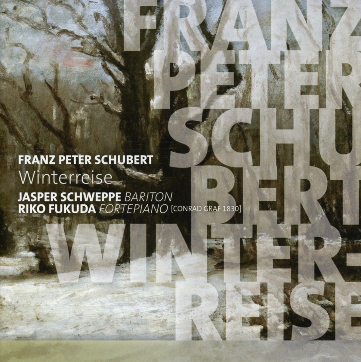 Afbeelding van Jasper Schweppe & Fufuda Riko - Schubert: Winterreise