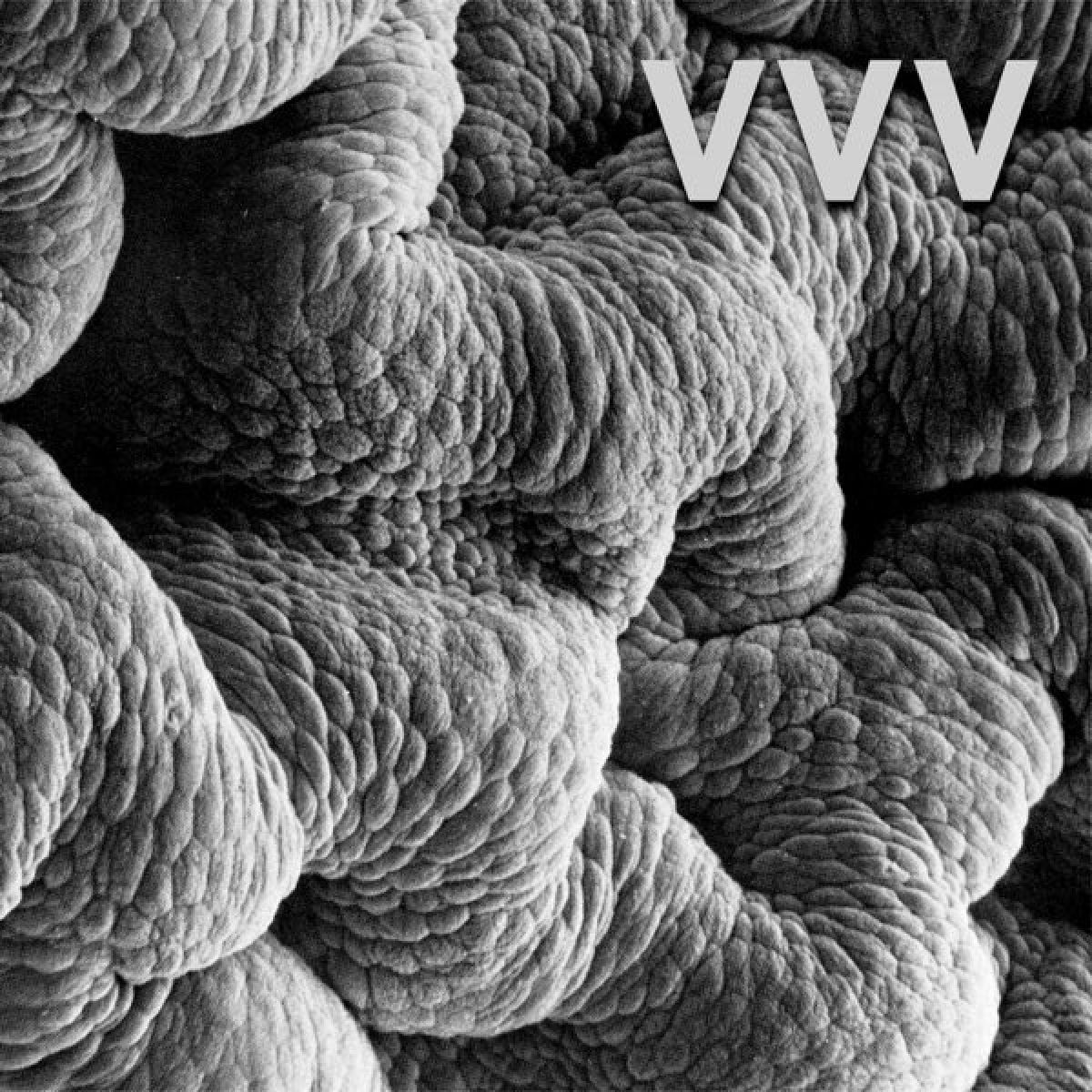 Afbeelding van VVV - Shadow World