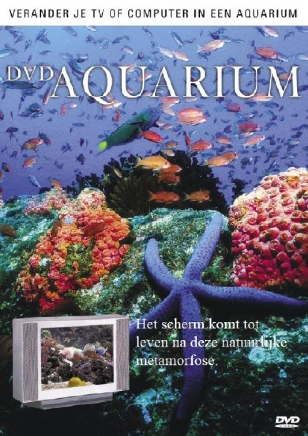 Afbeelding van Aquarium