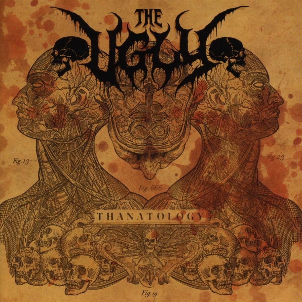 Afbeelding van The Ugly - Thanatology