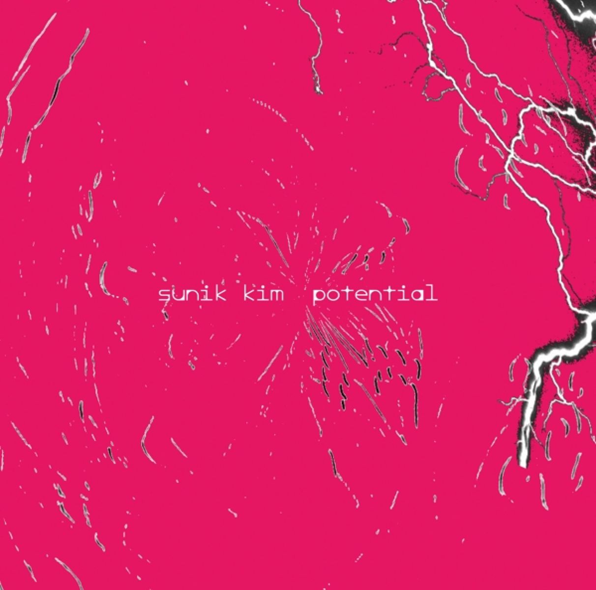 Sunik Kim - Potential