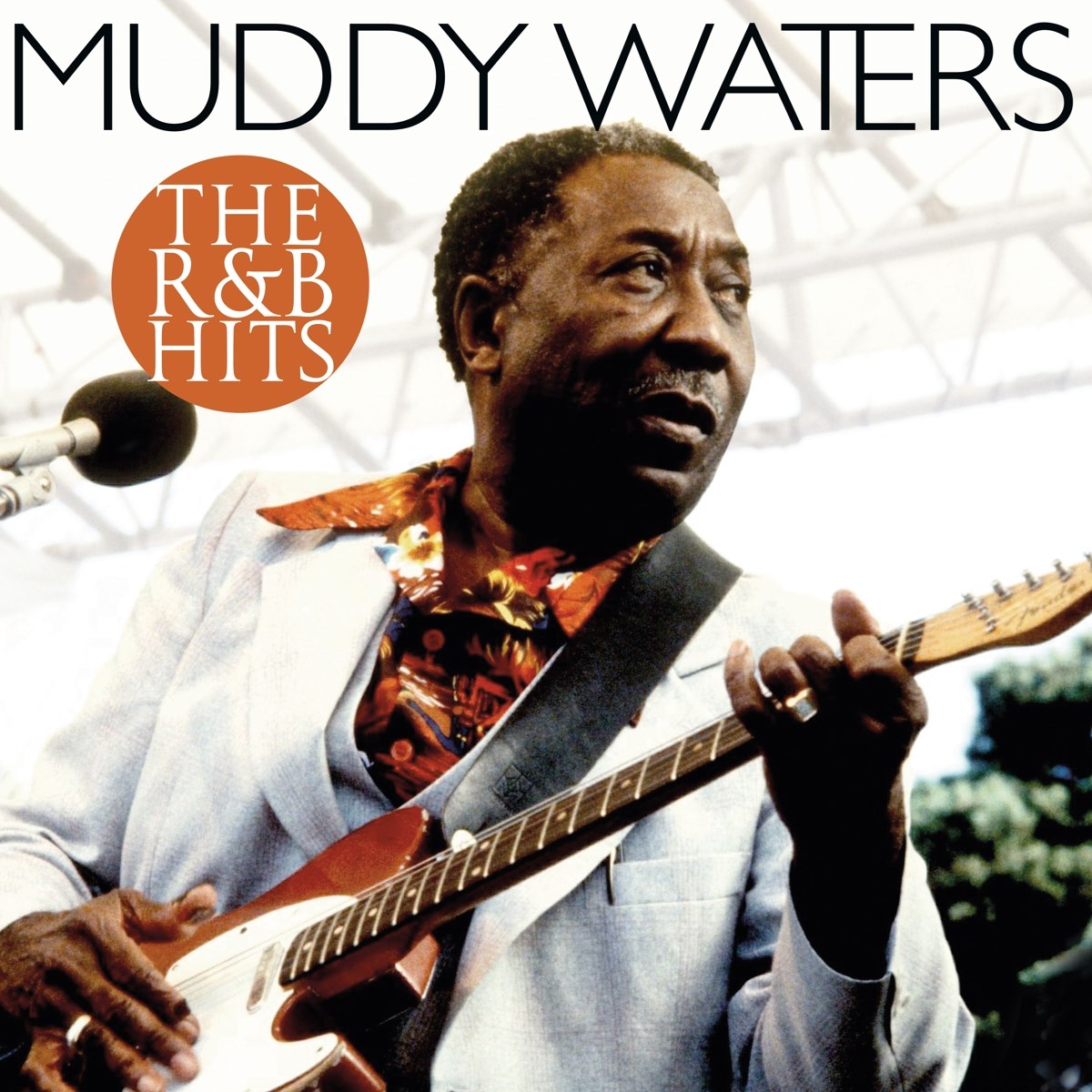 Afbeelding van Muddy Waters - The R&B Hits