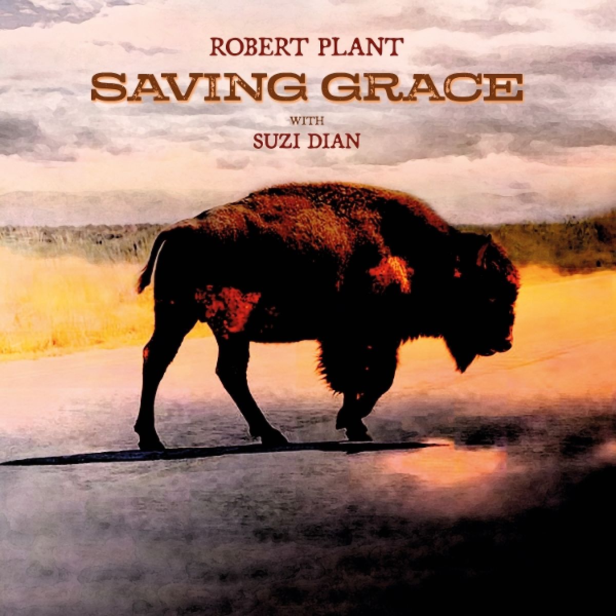 Afbeelding van Robert Plant - Saving Grace