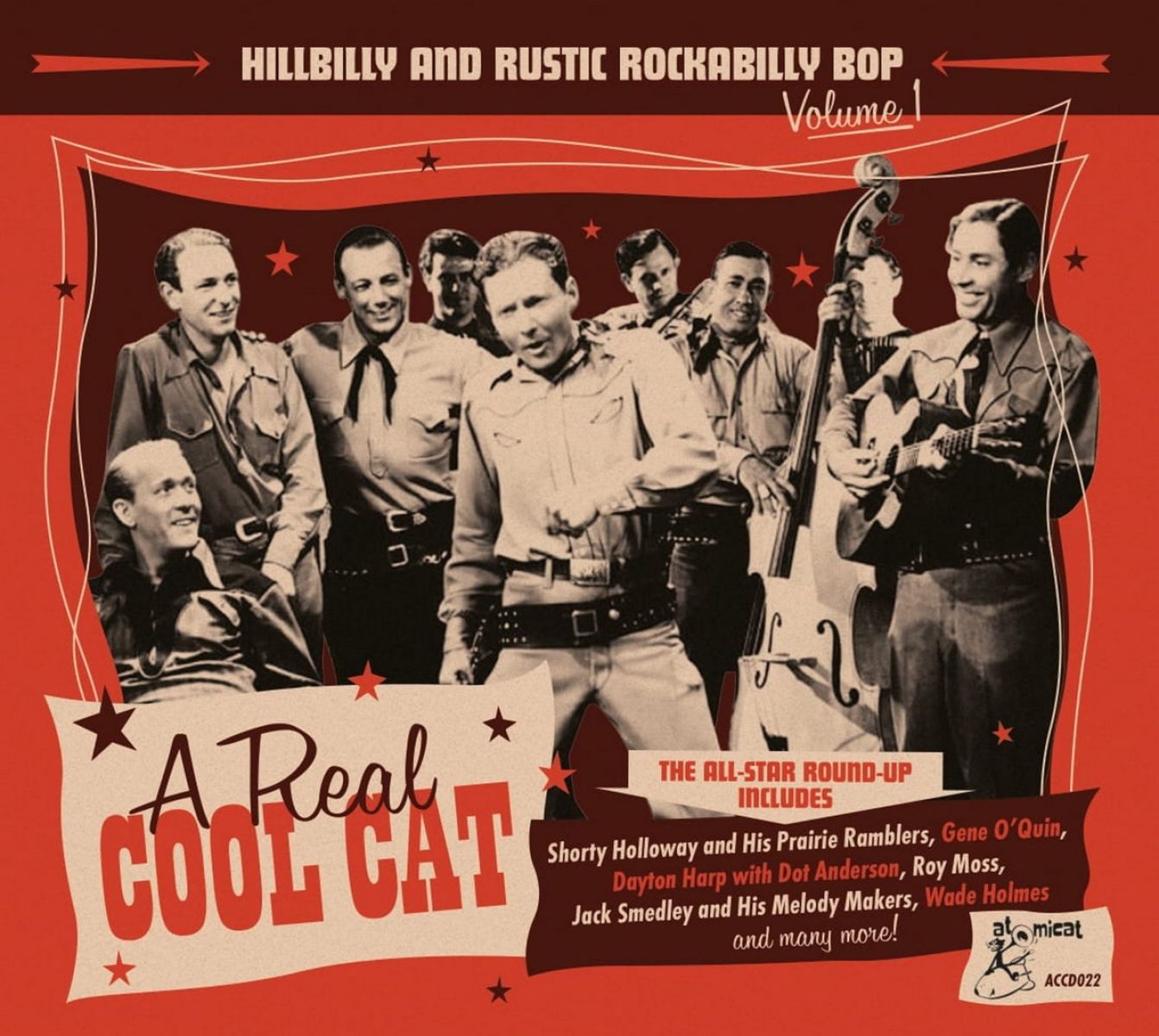 Afbeelding van Various Artists - Hillbilly & Rustic 1 - A Real Cool Cat