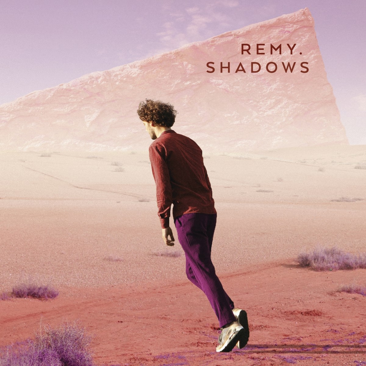 Afbeelding van Remy Van Kesteren - Shadows