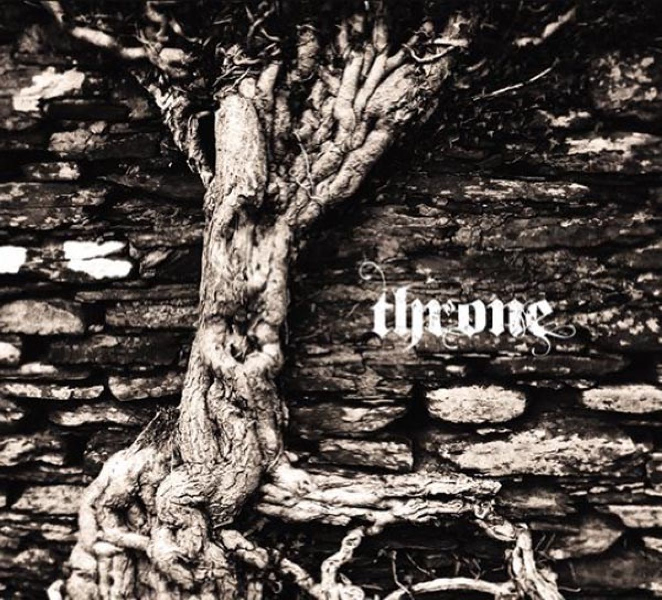 Afbeelding van Various Artists - Throne
