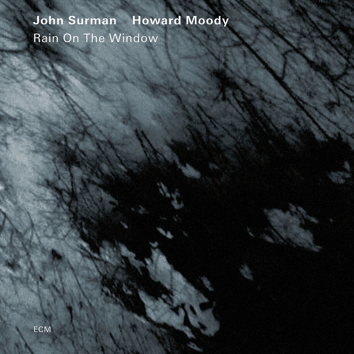 Afbeelding van John Surman & Howard Moody - Rain On The Window