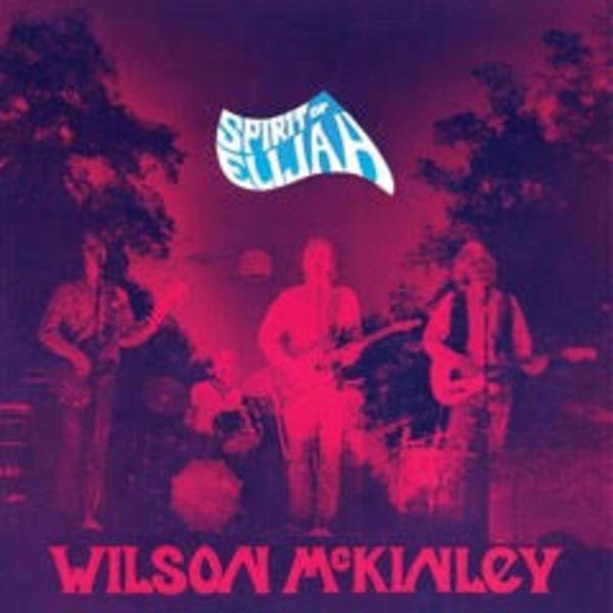 Afbeelding van Wilson McKinley - Spirit Of Elijah