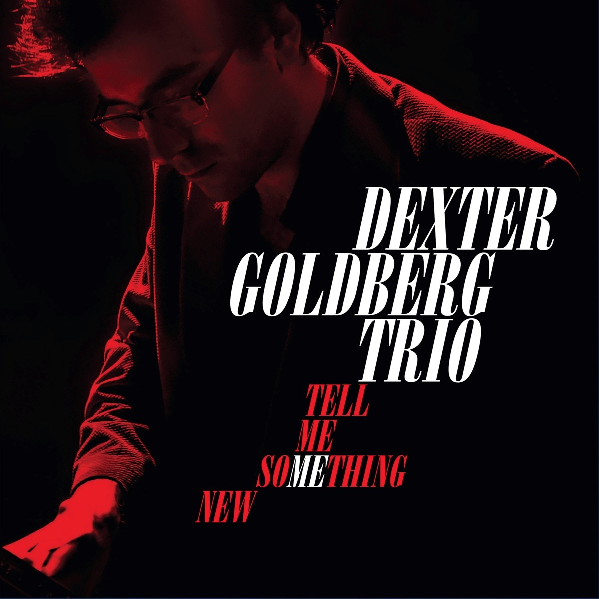 Afbeelding van Dexter Goldberg Trio - Tell Me Something New