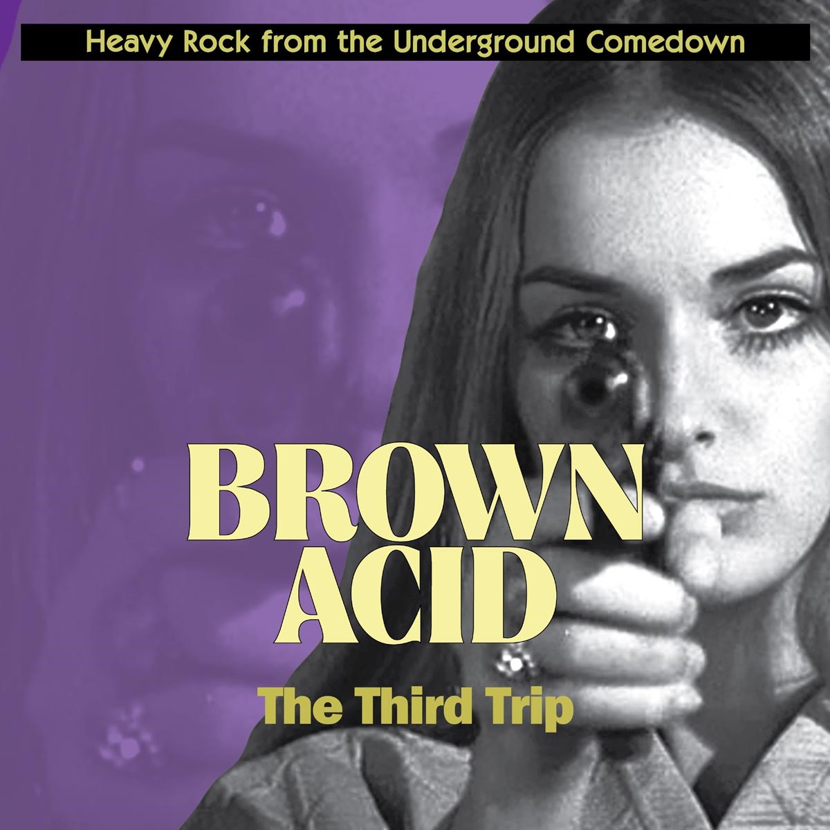 Afbeelding van Various Artists - Brown Acid: The Third Trip
