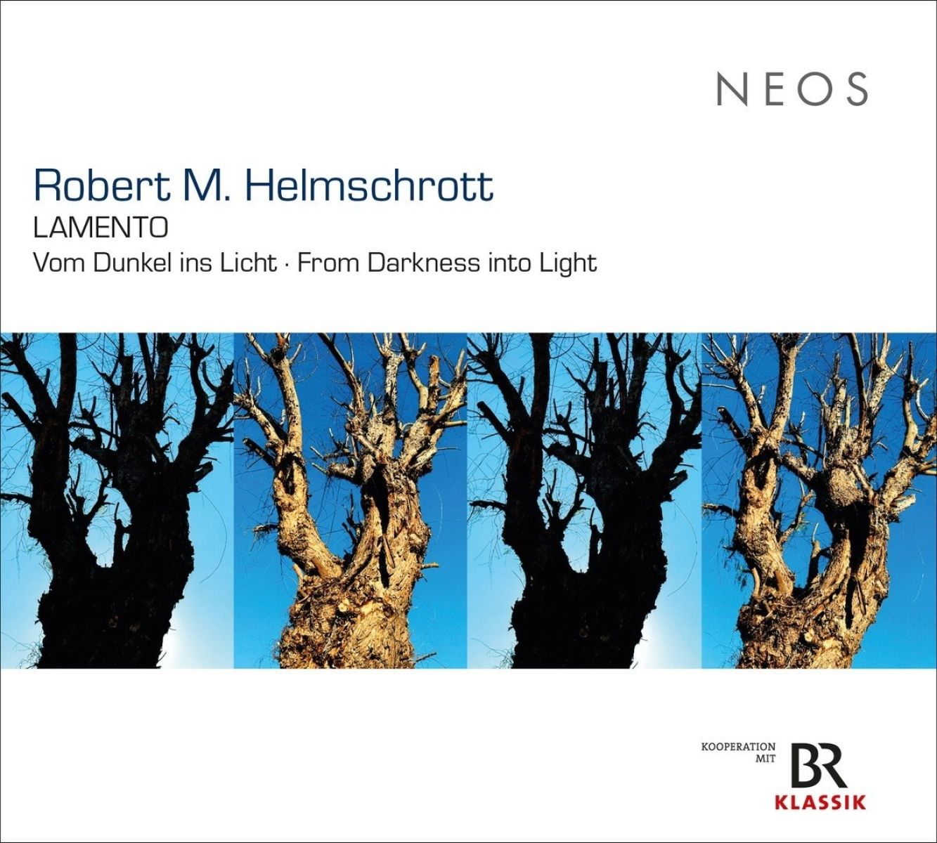 Afbeelding van Liana Issakadze & Kammerphilharmonie Ingolstadt - Robert M. Helmschrott: Lamento, Vom Dunkel Ins Licht