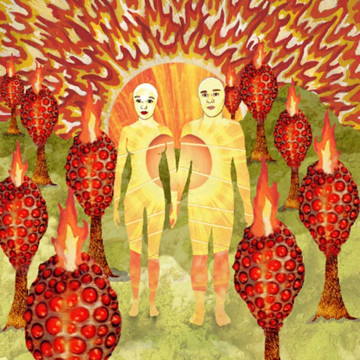 Afbeelding van Of Montreal - The Sunlandic Twins