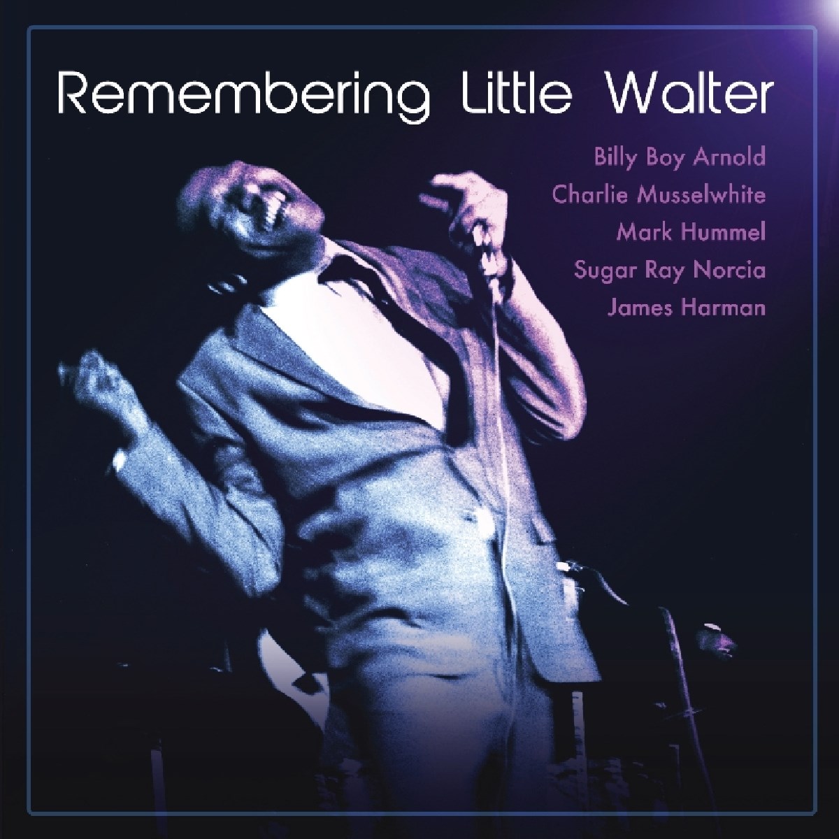 Afbeelding van Various Artists - Remembering Little Walter