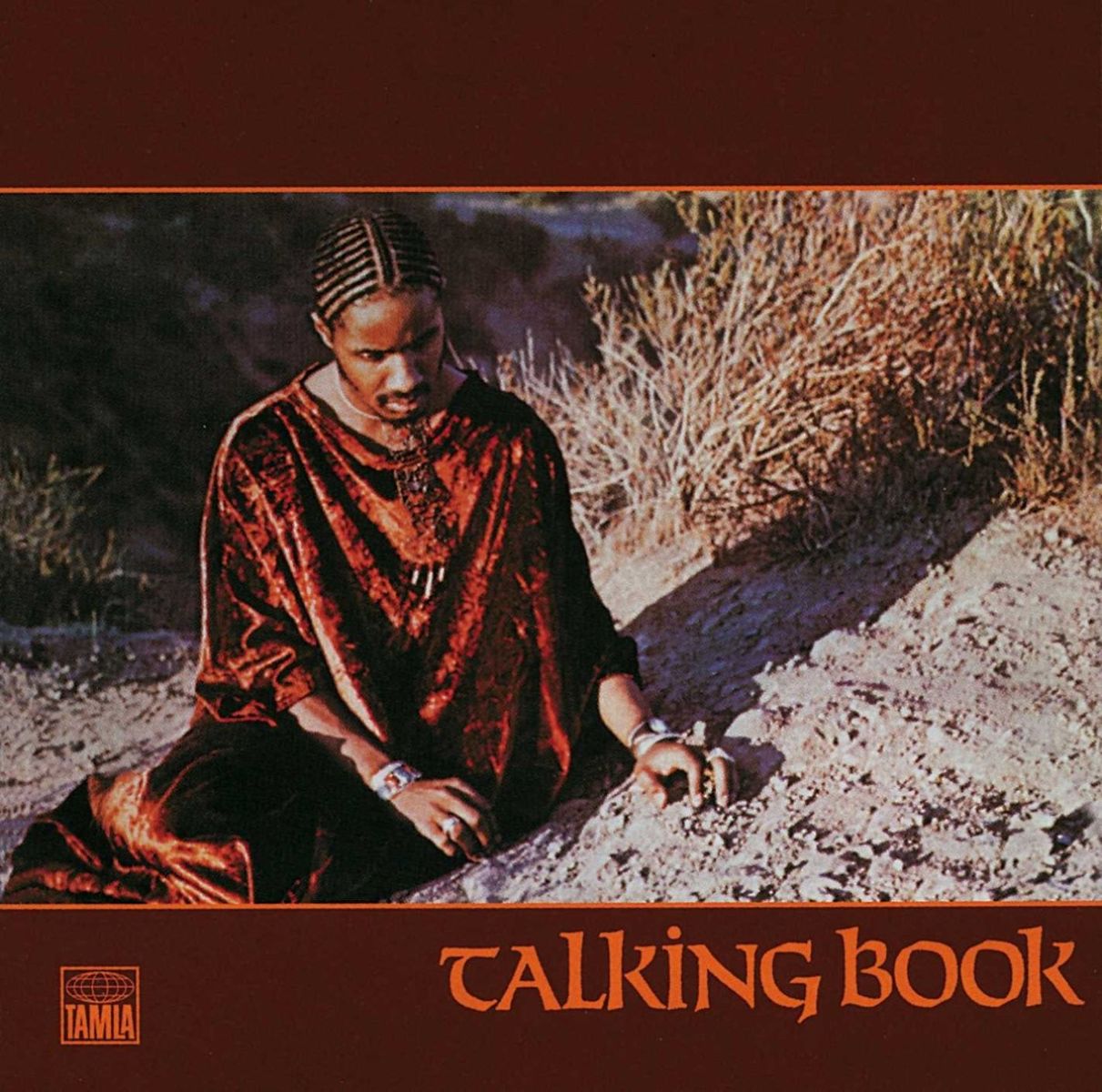 Afbeelding van Stevie Wonder - Talking Book