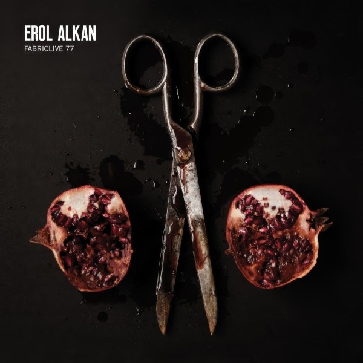 Afbeelding van Fabriclive 77