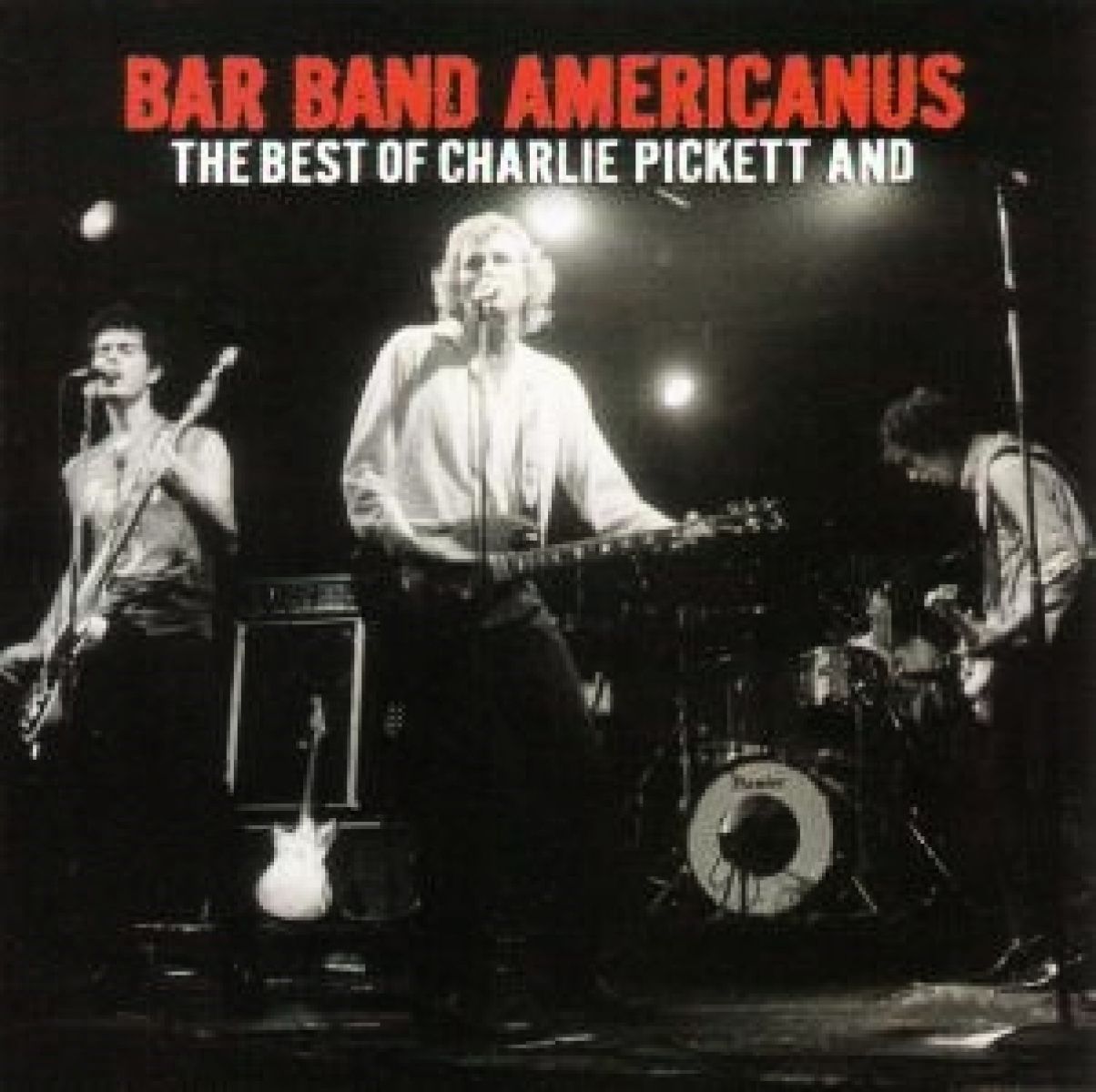Afbeelding van Bar Band Americanus