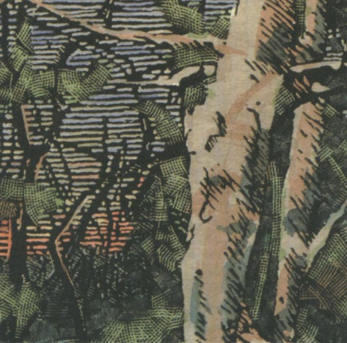 Afbeelding van The Anomoanon - Asleep Many Years In The Wood
