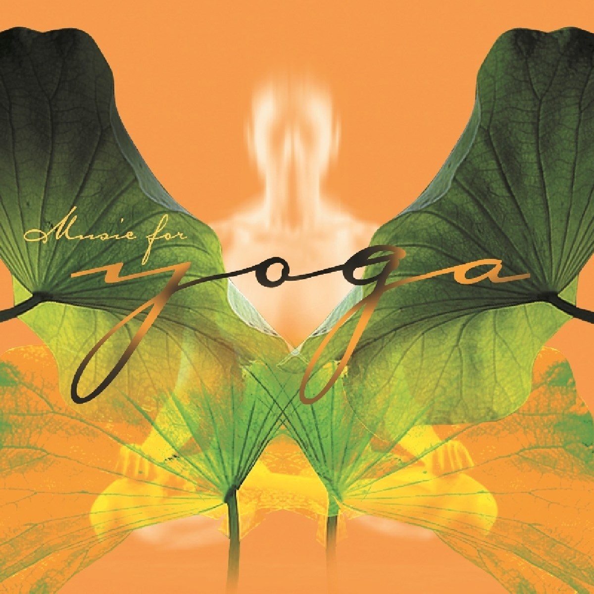 Afbeelding van Various Artists - Music For Yoga