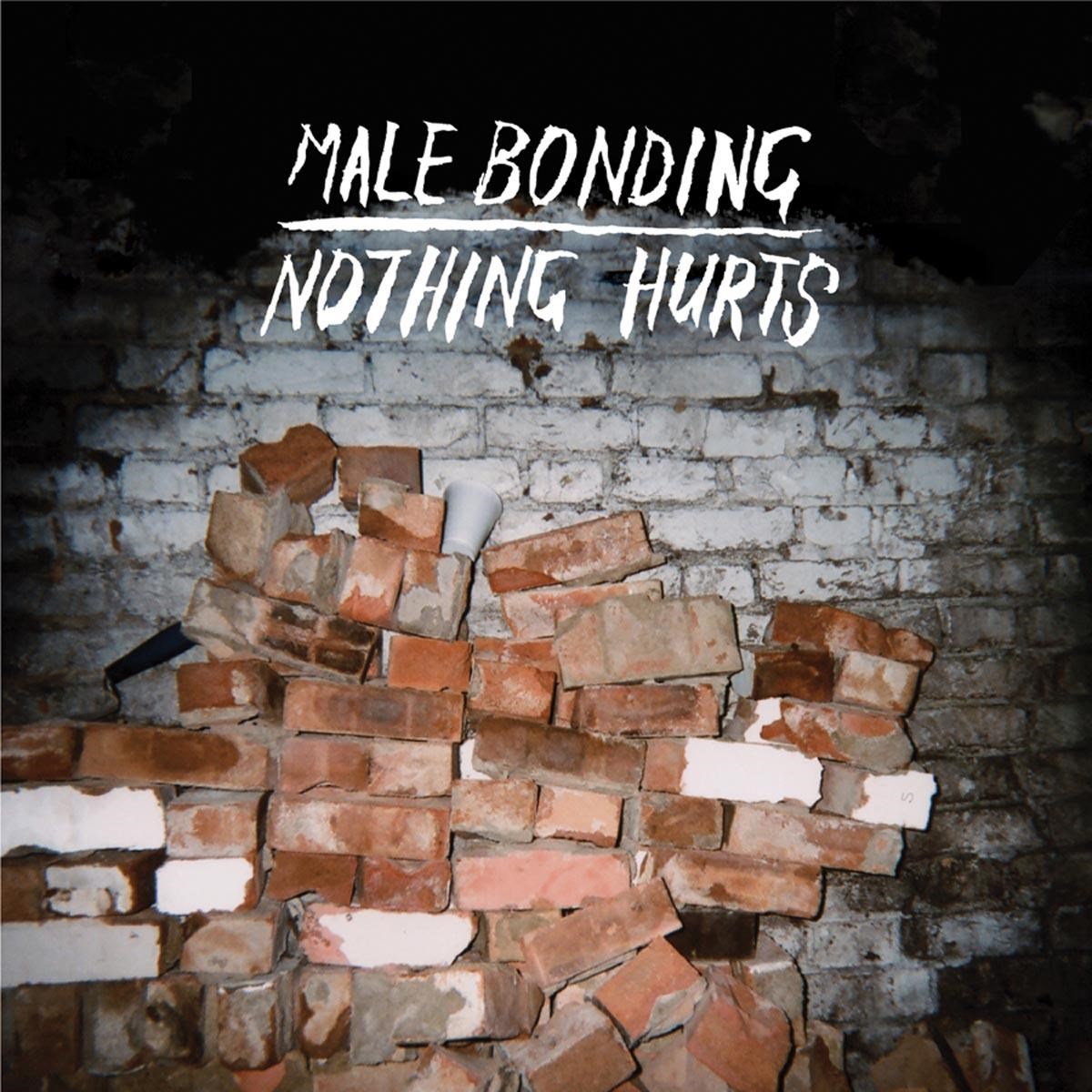 Afbeelding van Male Bonding - Nothing Hurts