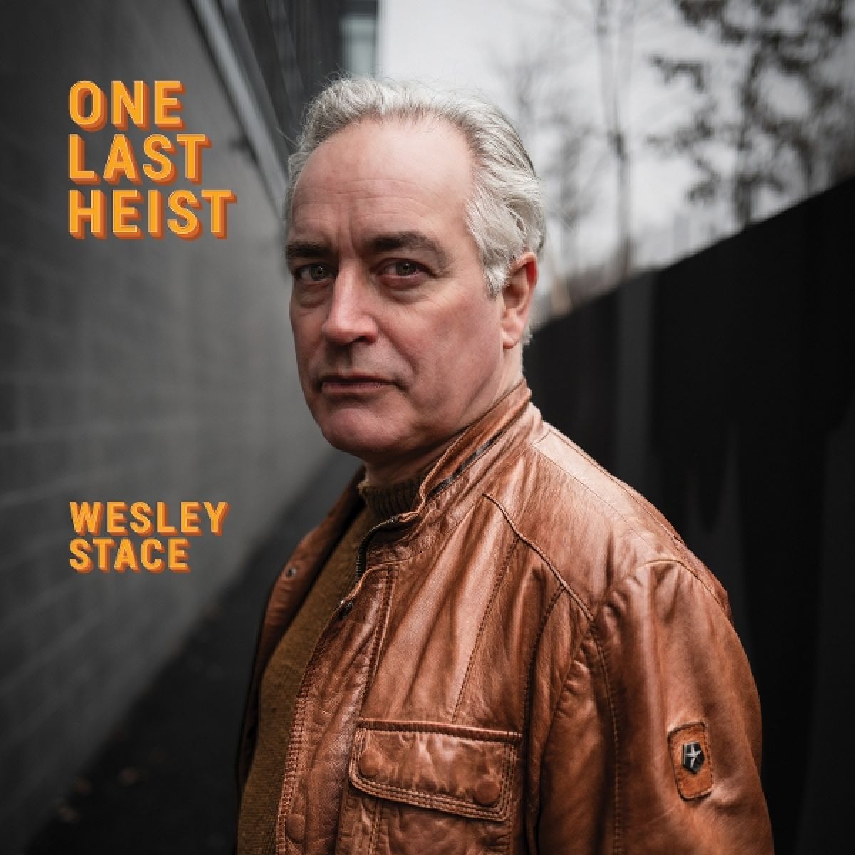 Afbeelding van Wesley Stace - One Last Heist