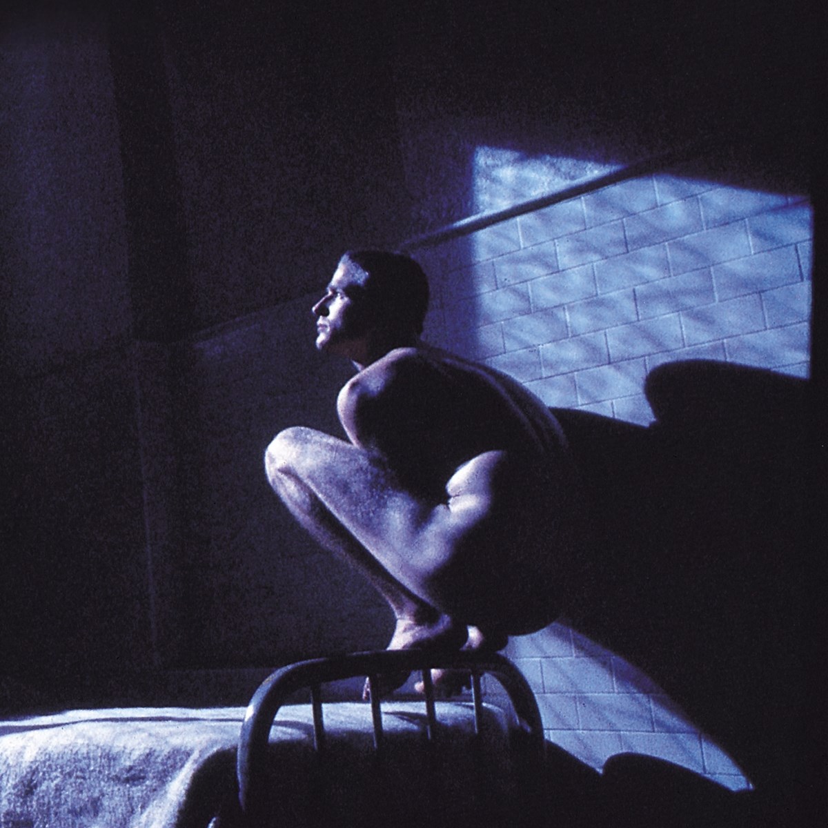 Afbeelding van Peter Gabriel - Alan Parker's Birdy, Music By Peter Gabriel