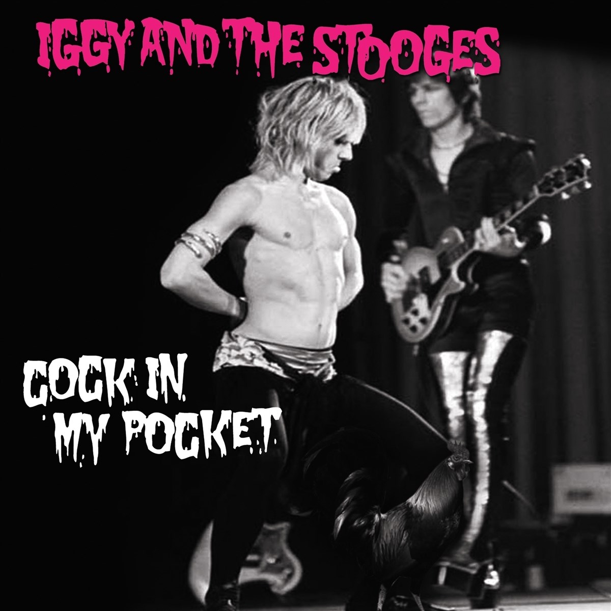 Afbeelding van Iggy & The Stooges - Cock In My Pocket