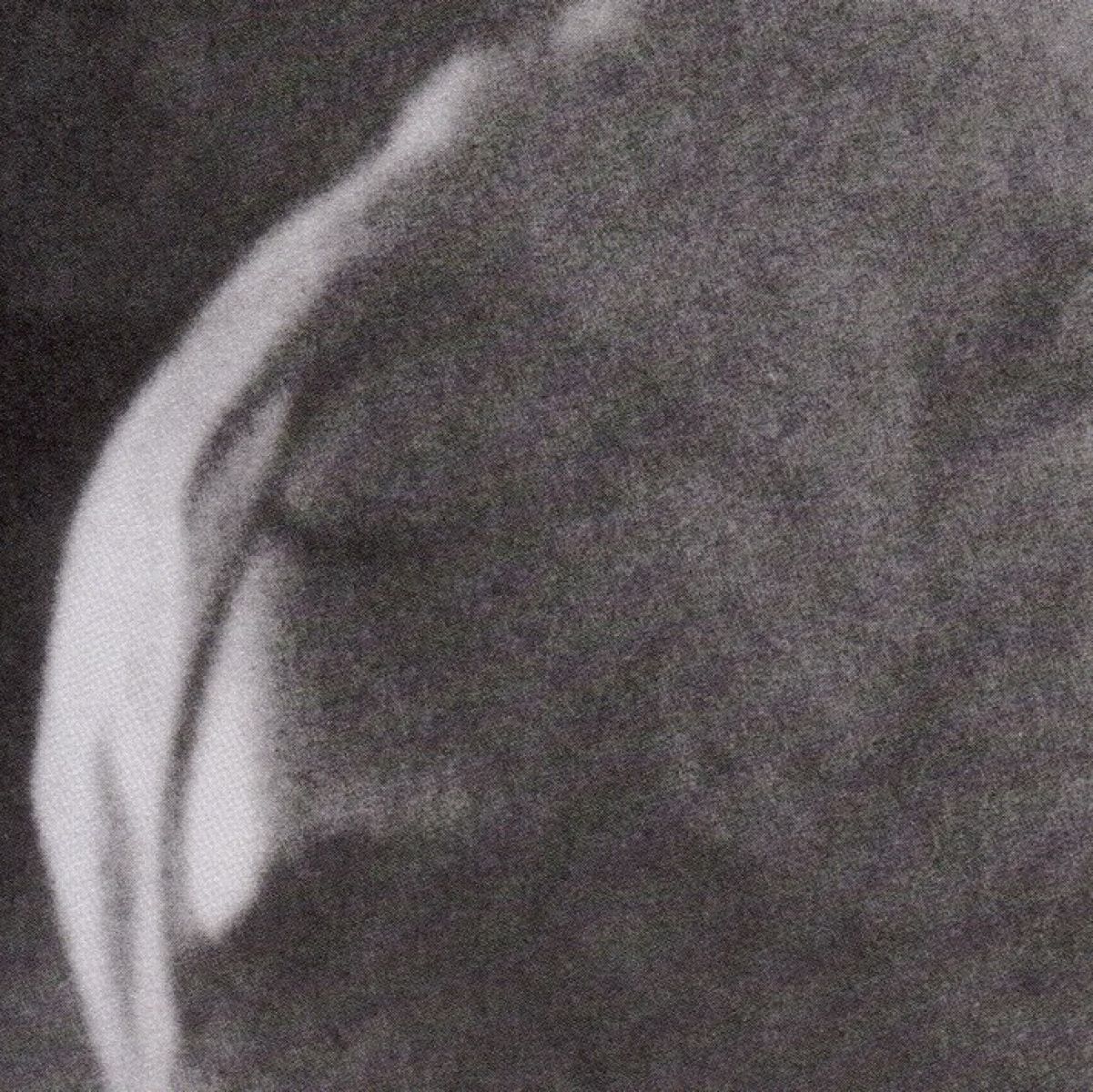 Afbeelding van Heavy Winged - Sunspotted