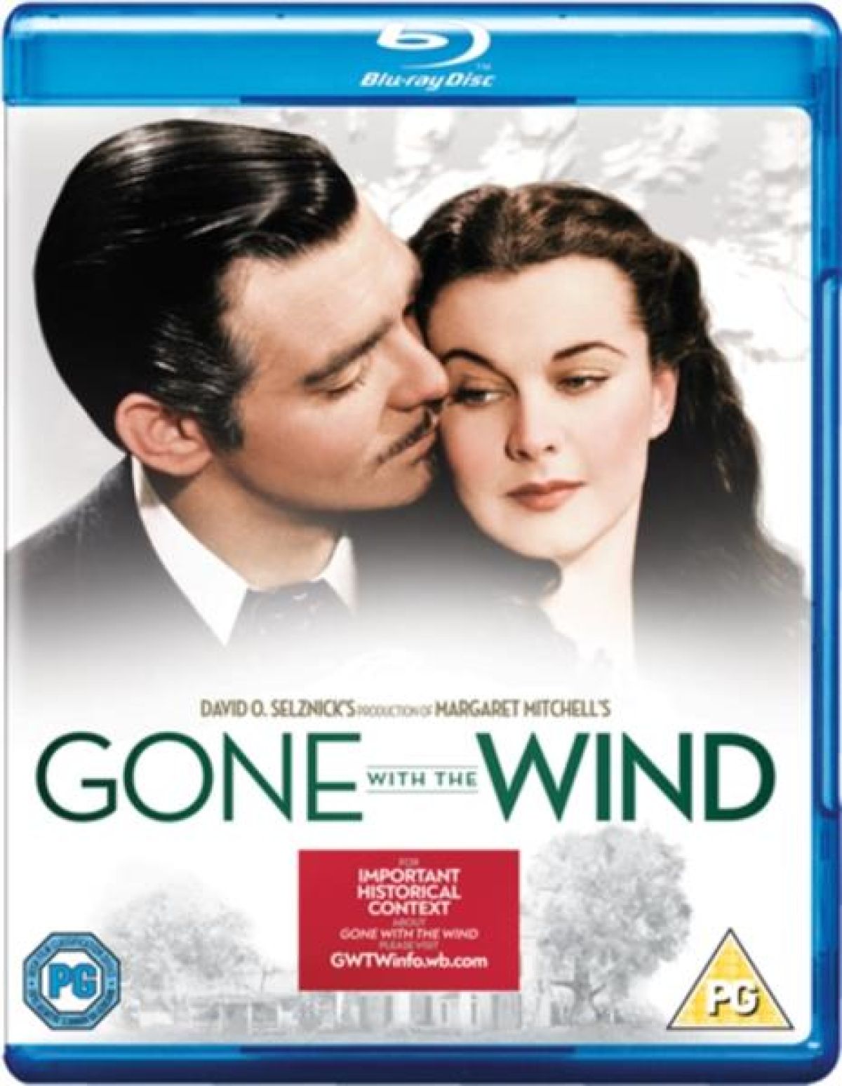 Afbeelding van Gone With The Wind