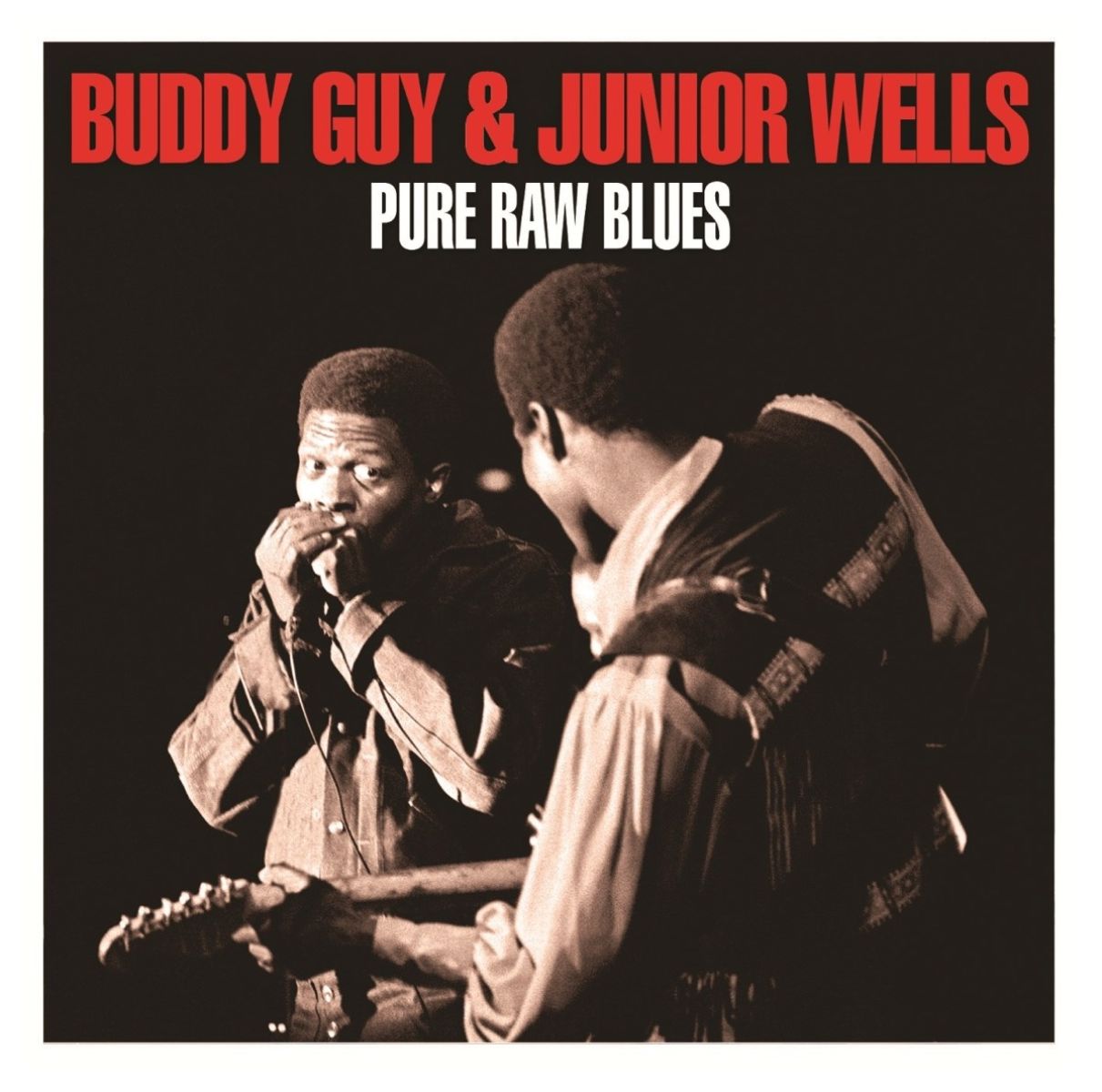 Afbeelding van Pure Raw Blues