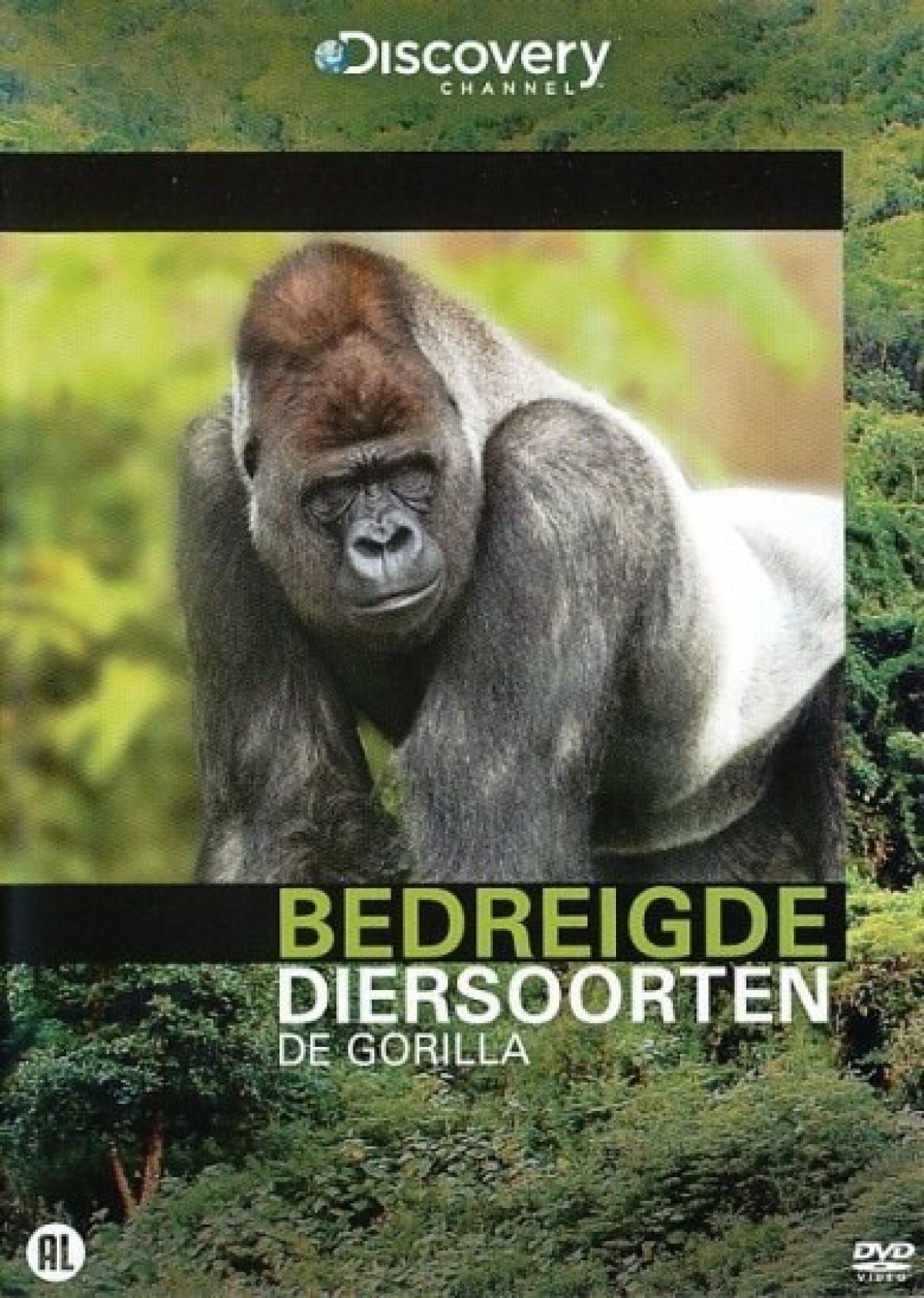 Afbeelding van Bedreigde Diersoorten - De Gorilla