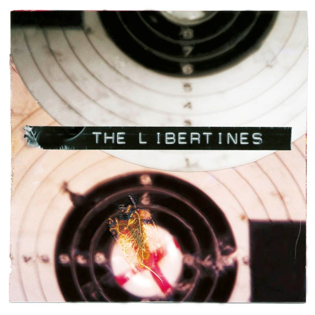 Libertines - What A Waster / I Get Along