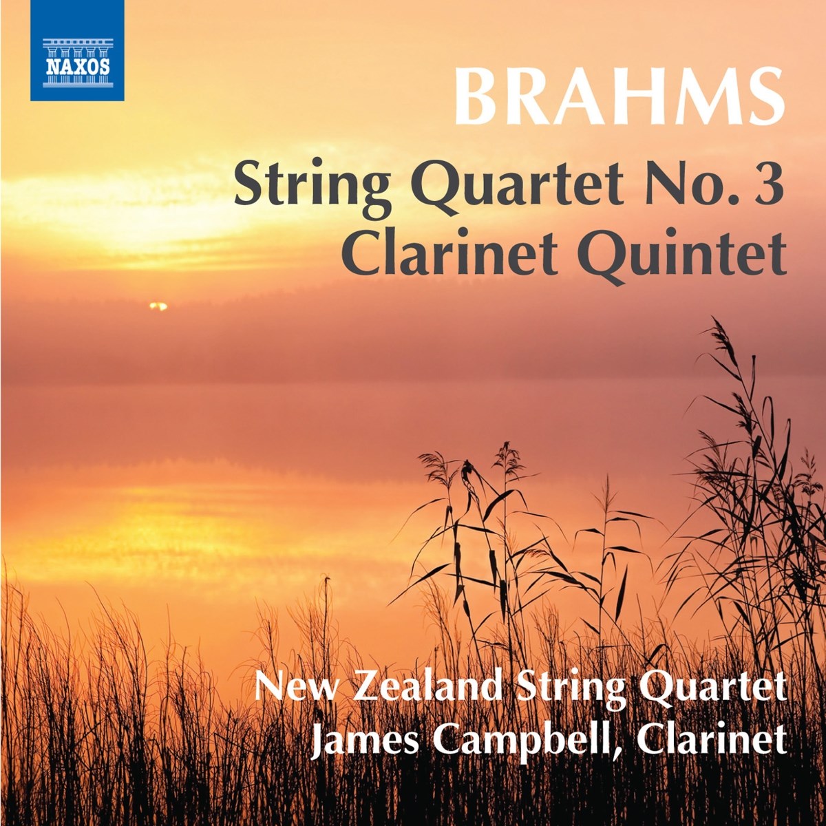 James Campbell & New Zealand String Quartet - String Quartet No. 3