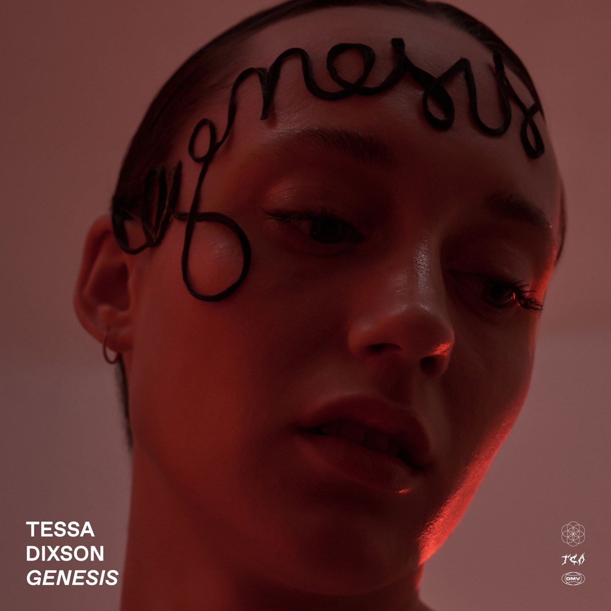 Afbeelding van Tessa Dixson - Genesis