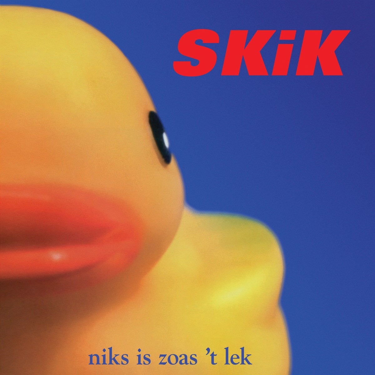 Afbeelding van Skik - Niks Is Zoas 't Lek